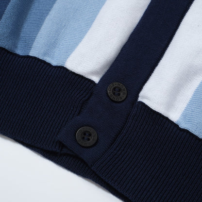 Chemise Tricotée à Rayures Verticales pour Hommes des Années 60 – Polo Boutonné Bleu Marine et Bleu Ciel