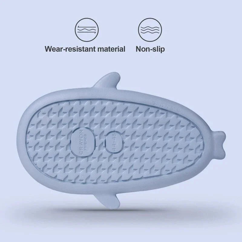 Diapositives de requins