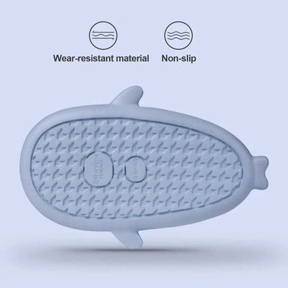 Diapositives de requins