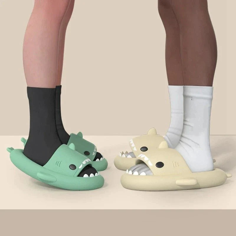 Diapositives de requins