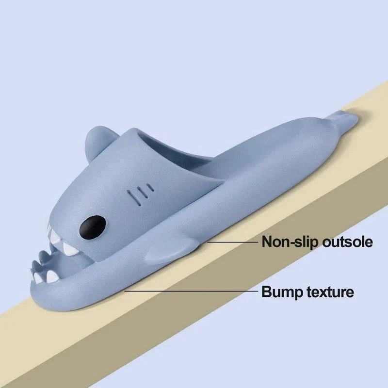 Diapositives de requins