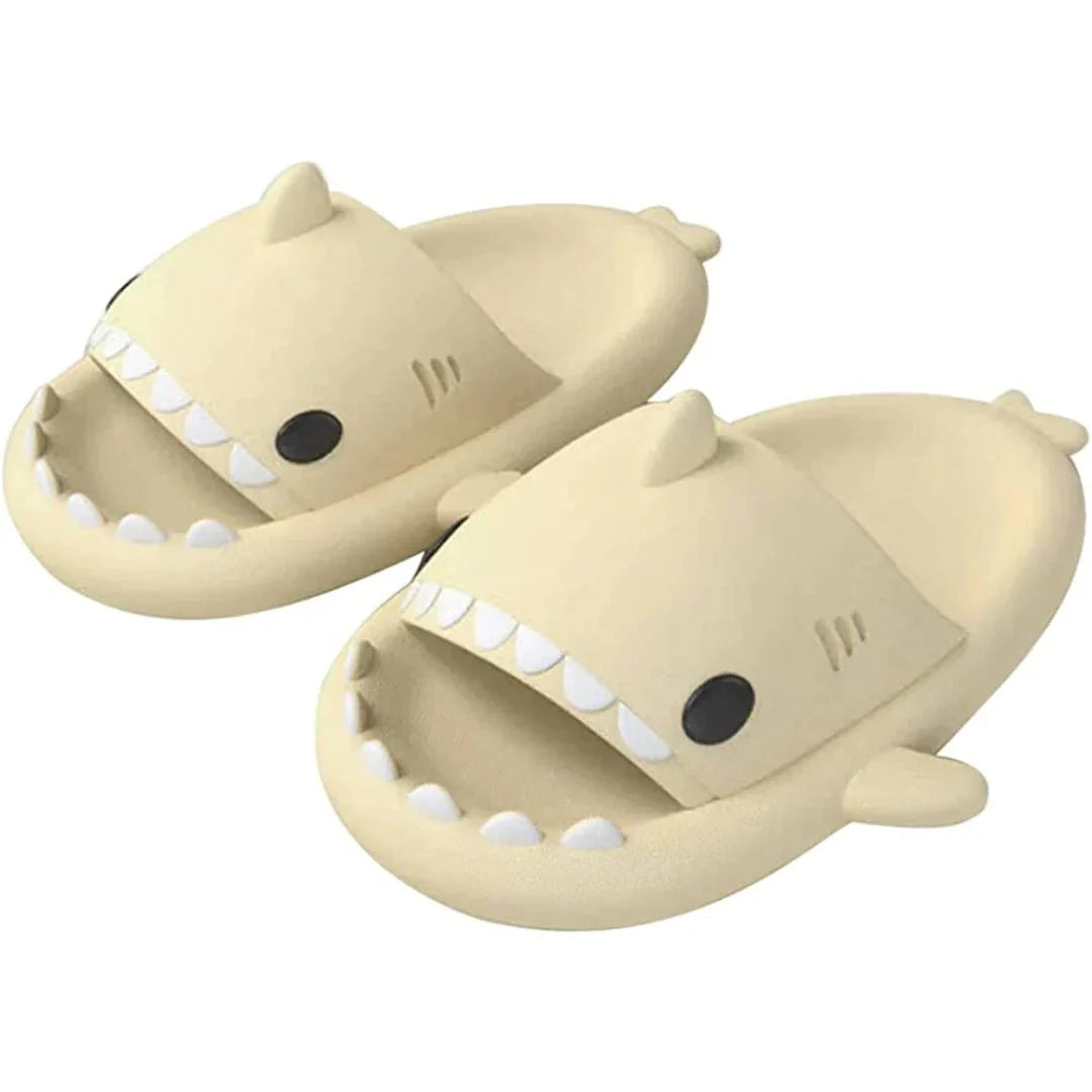 Diapositives de requins