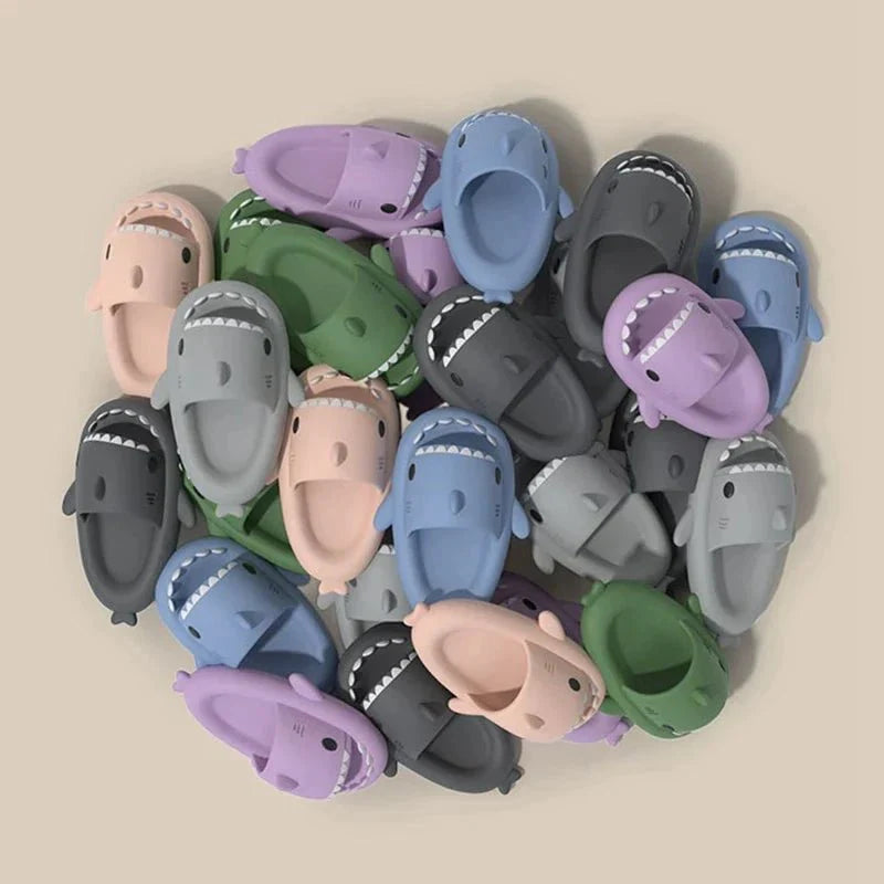 Diapositives de requins