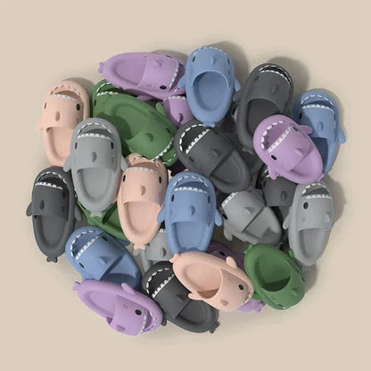 Diapositives de requins