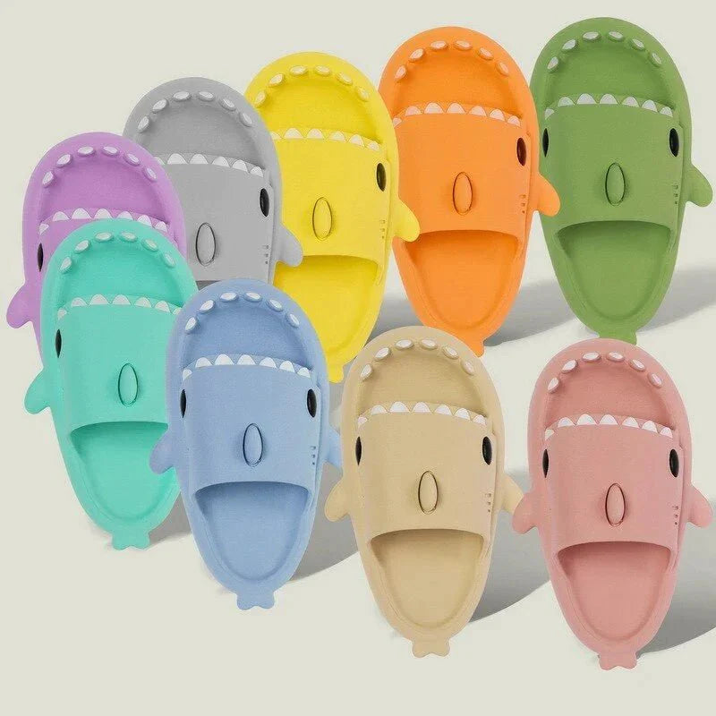 Diapositives de requins