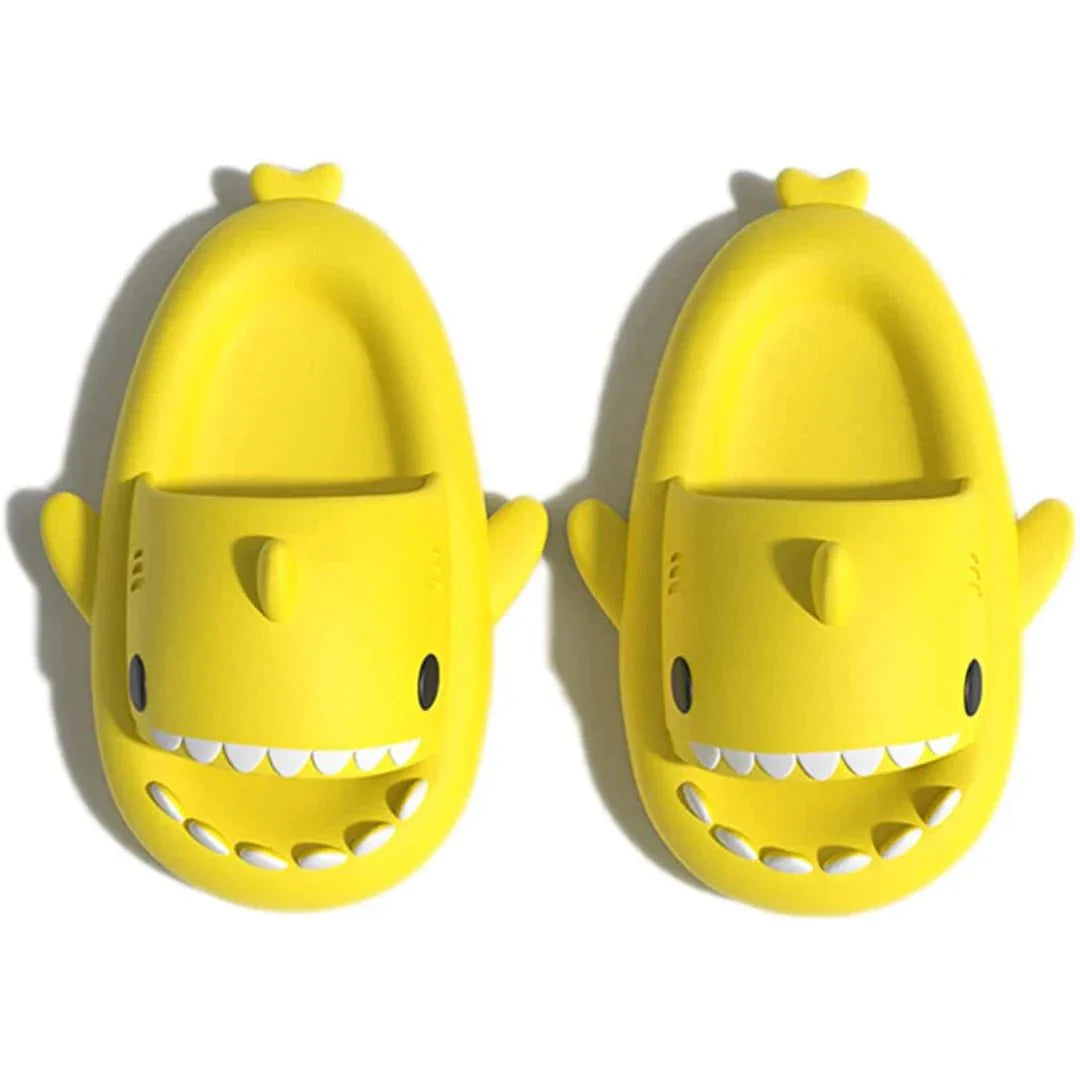 Diapositives de requins